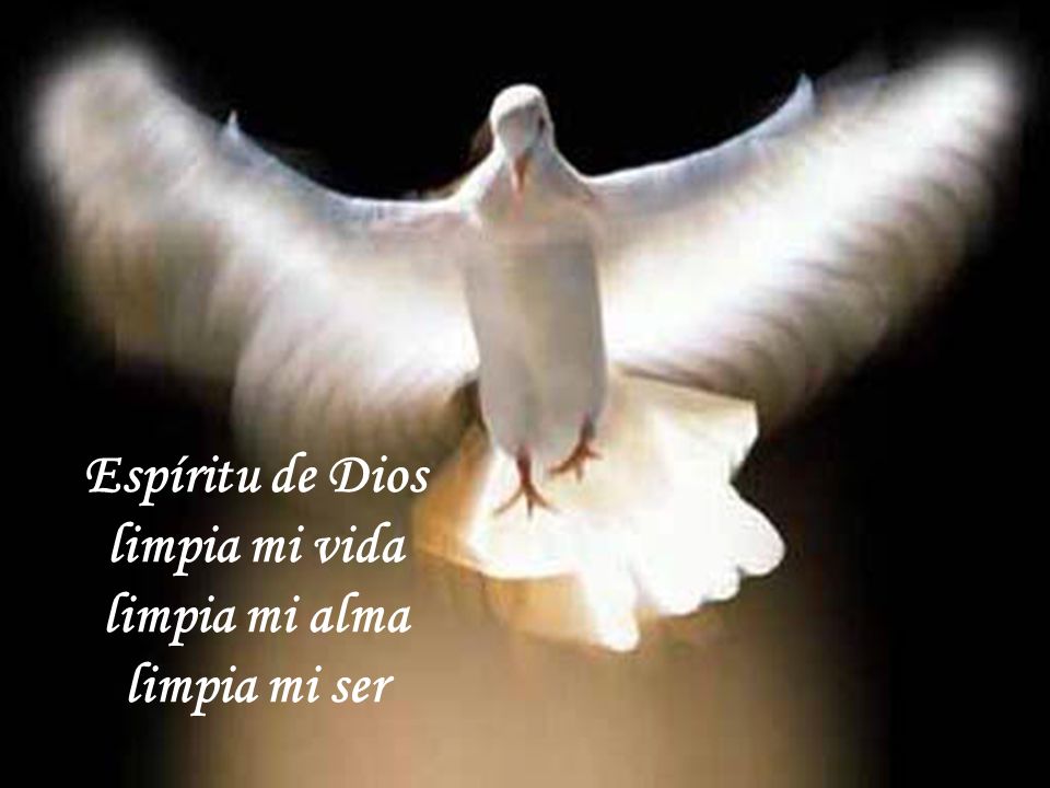 Espíritu de Dios limpia mi vida limpia mi alma limpia mi ser