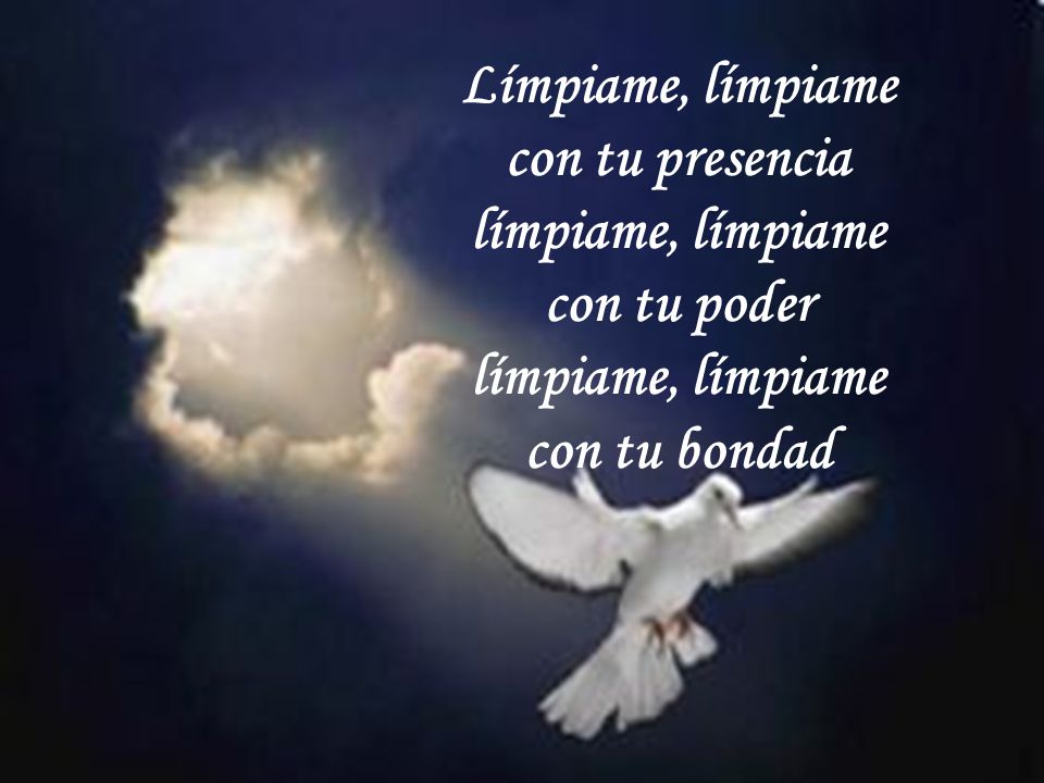 Límpiame, límpiame con tu presencia límpiame, límpiame con tu poder con tu bondad