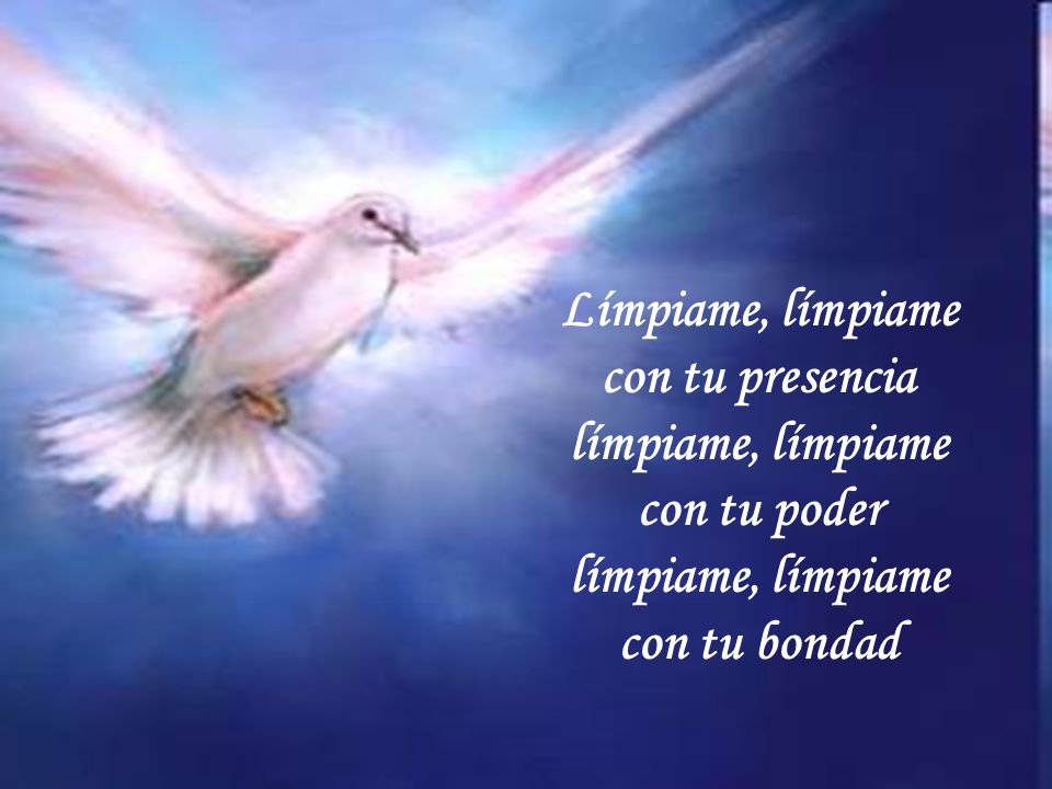 Límpiame, límpiame con tu presencia límpiame, límpiame con tu poder con tu bondad