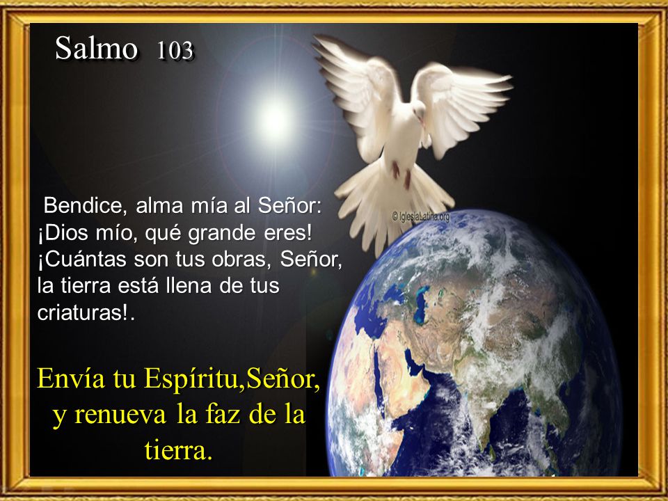 Envía tu Espíritu,Señor, y renueva la faz de la tierra.