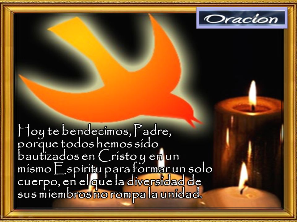 Hoy te bendecimos, Padre, porque todos hemos sido bautizados en Cristo y en un mismo Espíritu para formar un solo cuerpo, en el que la diversidad de sus miembros no rompa la unidad.