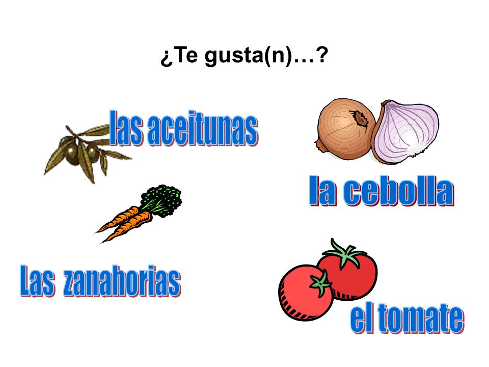 ¿Te gusta(n)… las aceitunas la cebolla Las zanahorias el tomate