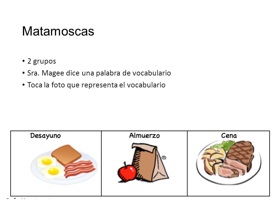 Matamoscas 2 grupos Sra. Magee dice una palabra de vocabulario