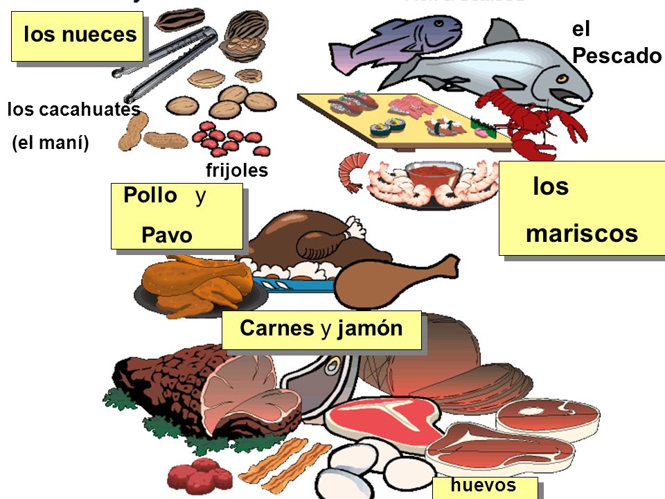 los mariscos el Pescado los nueces Pollo y Pavo Carnes y jamón