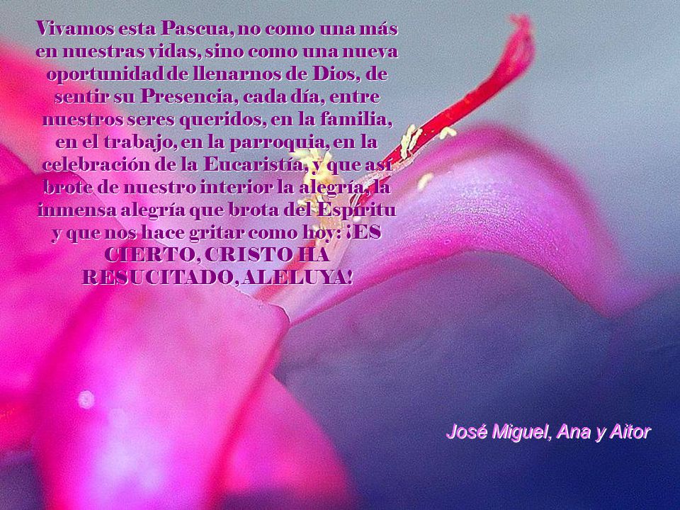 Vivamos esta Pascua, no como una más en nuestras vidas, sino como una nueva oportunidad de llenarnos de Dios, de sentir su Presencia, cada día, entre nuestros seres queridos, en la familia, en el trabajo, en la parroquia, en la celebración de la Eucaristía, y que así brote de nuestro interior la alegría, la inmensa alegría que brota del Espíritu y que nos hace gritar como hoy: ¡ES CIERTO, CRISTO HA RESUCITADO, ALELUYA!