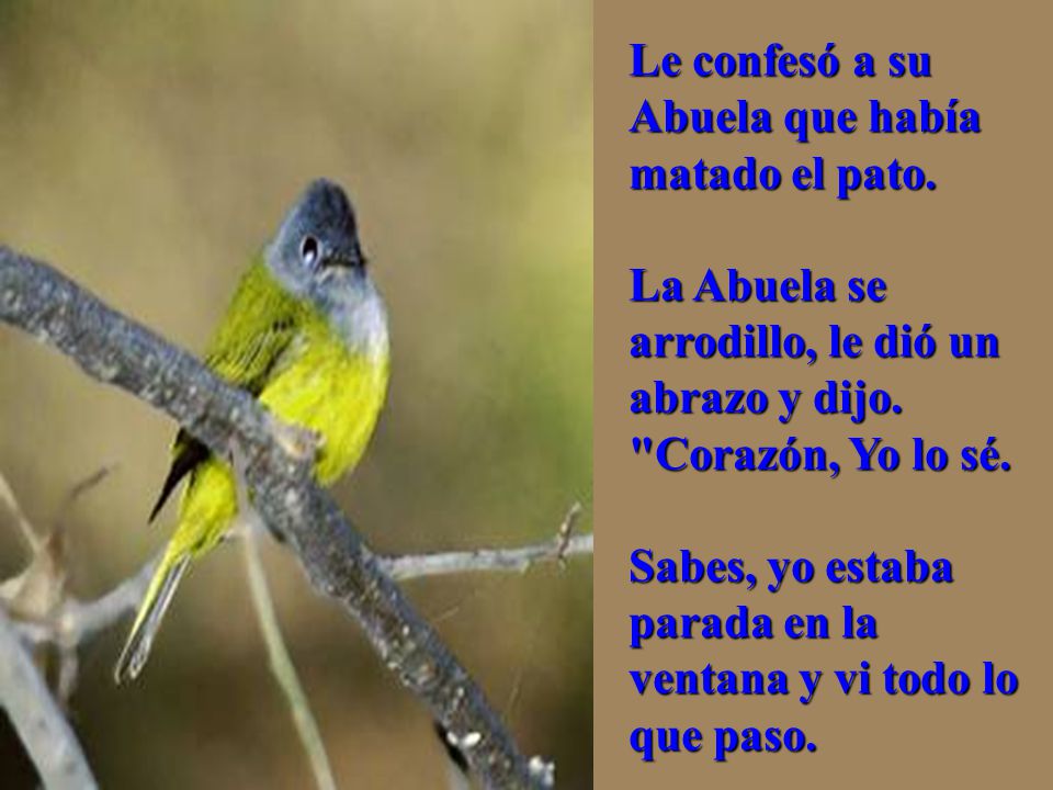 Le confesó a su Abuela que había matado el pato
