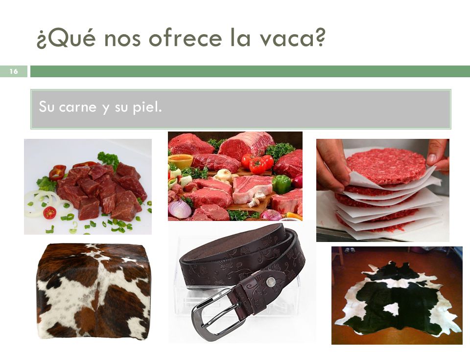 ¿Qué nos ofrece la vaca Su carne y su piel.