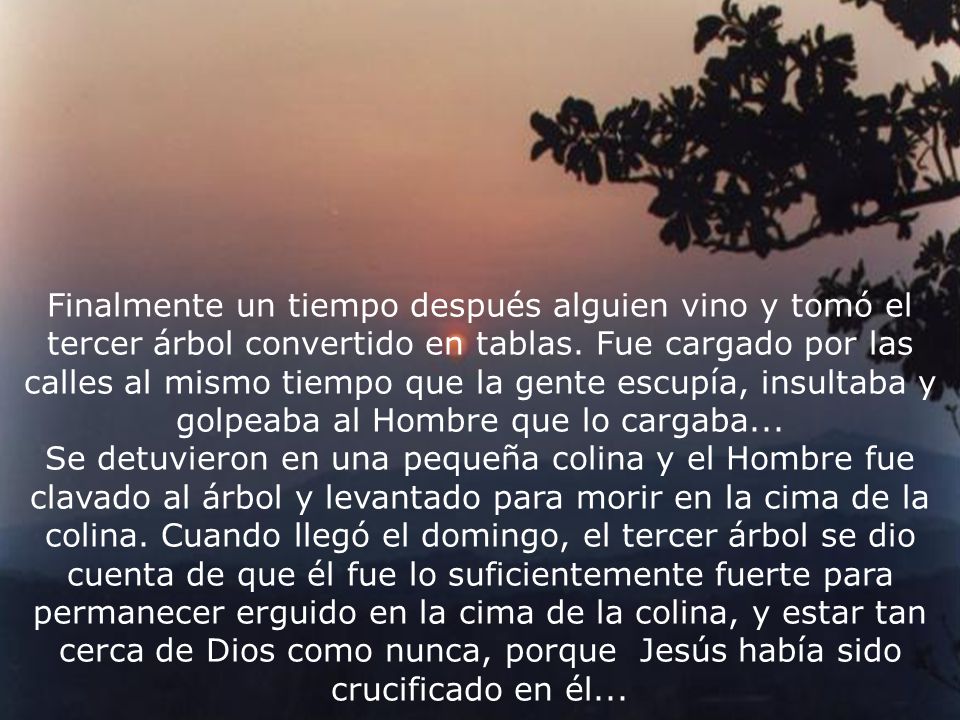 Finalmente un tiempo después alguien vino y tomó el tercer árbol convertido en tablas. Fue cargado por las calles al mismo tiempo que la gente escupía, insultaba y golpeaba al Hombre que lo cargaba...