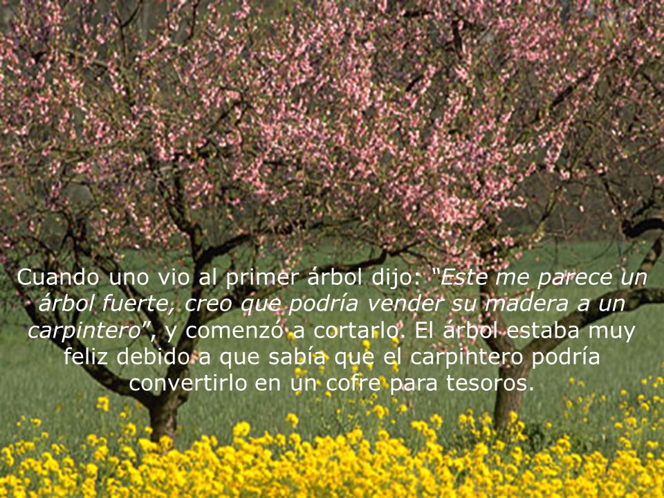 Cuando uno vio al primer árbol dijo: Este me parece un árbol fuerte, creo que podría vender su madera a un carpintero , y comenzó a cortarlo.