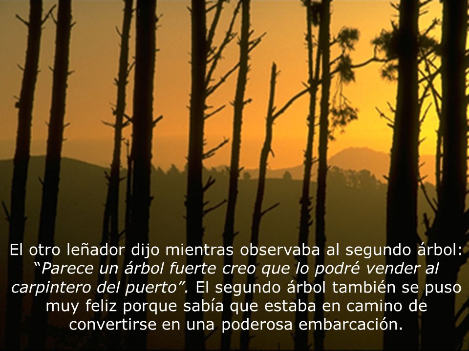 El otro leñador dijo mientras observaba al segundo árbol: Parece un árbol fuerte creo que lo podré vender al carpintero del puerto .