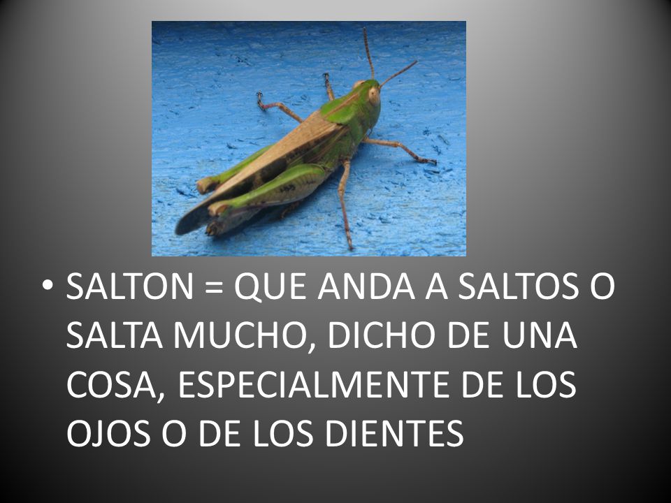 SALTON = QUE ANDA A SALTOS O SALTA MUCHO, DICHO DE UNA COSA, ESPECIALMENTE DE LOS OJOS O DE LOS DIENTES
