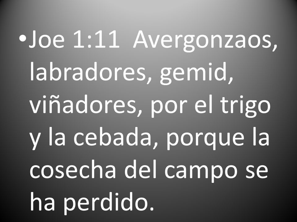 Joe 1:11 Avergonzaos, labradores, gemid, viñadores, por el trigo y la cebada, porque la cosecha del campo se ha perdido.