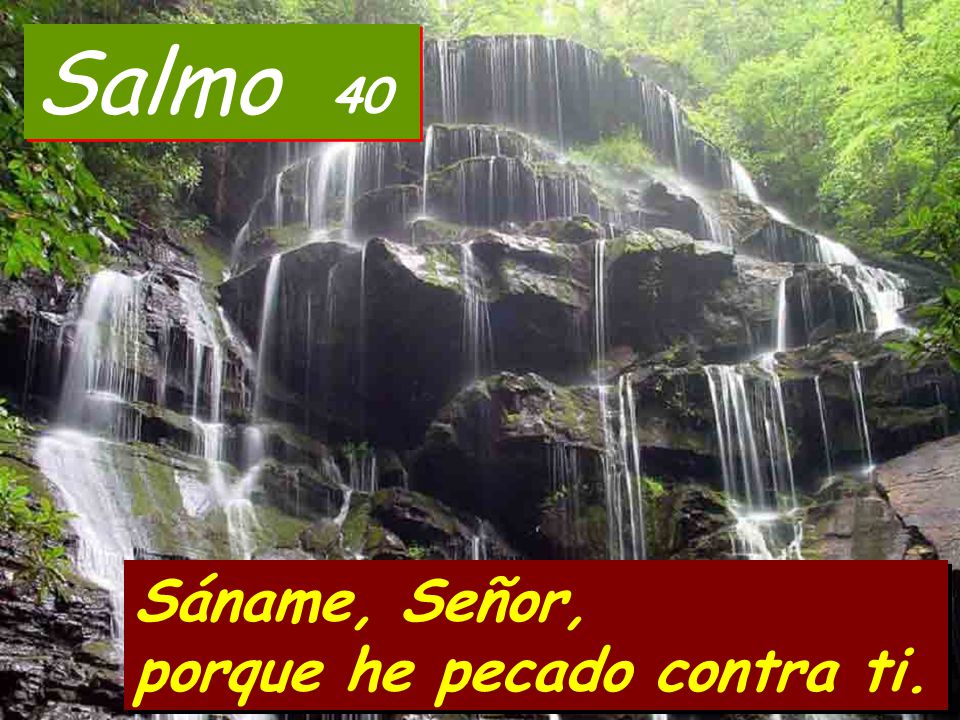 Salmo 40 Sáname, Señor, porque he pecado contra ti.