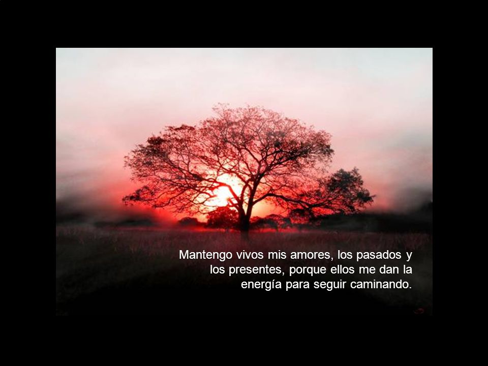 Mantengo vivos mis amores, los pasados y los presentes, porque ellos me dan la energía para seguir caminando.