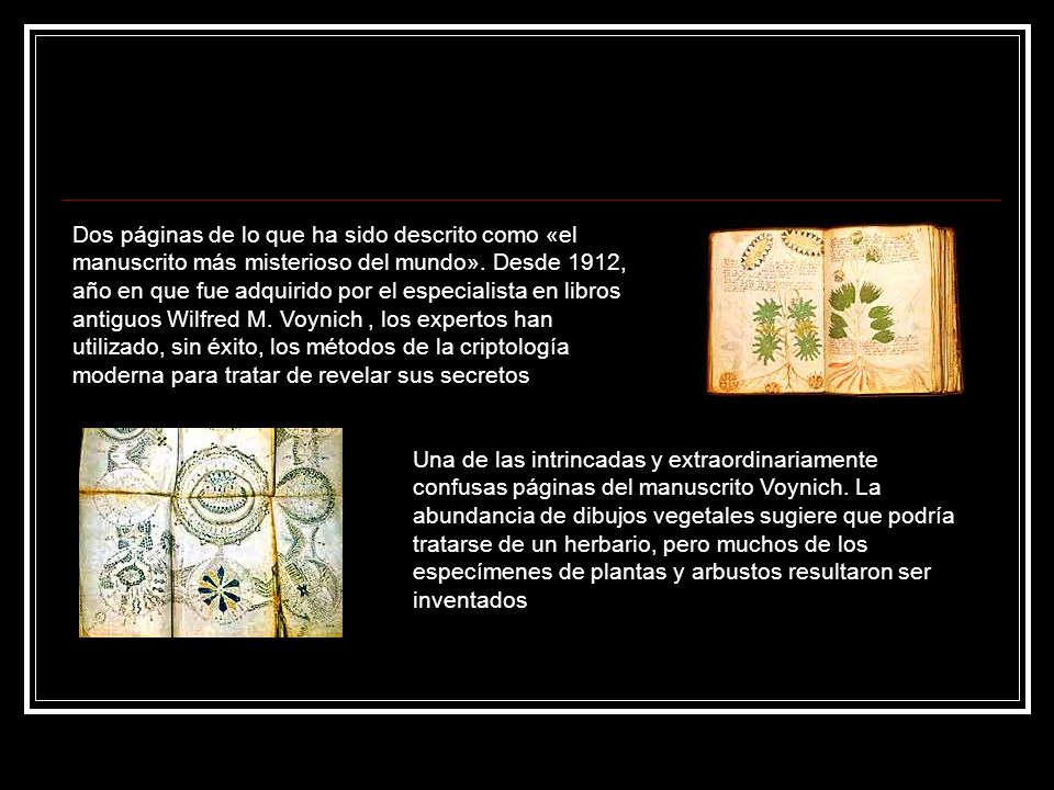 Dos páginas de lo que ha sido descrito como «el manuscrito más misterioso del mundo». Desde 1912, año en que fue adquirido por el especialista en libros antiguos Wilfred M. Voynich , los expertos han utilizado, sin éxito, los métodos de la criptología moderna para tratar de revelar sus secretos