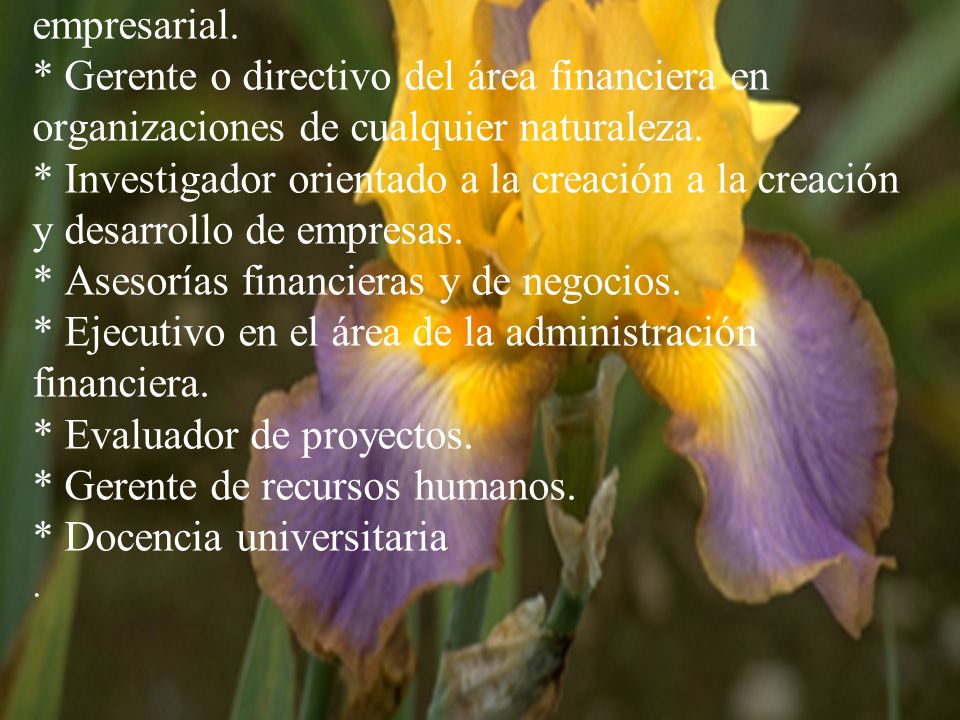 Mercado Laboral:. Empresario en diferentes sectores de la economía