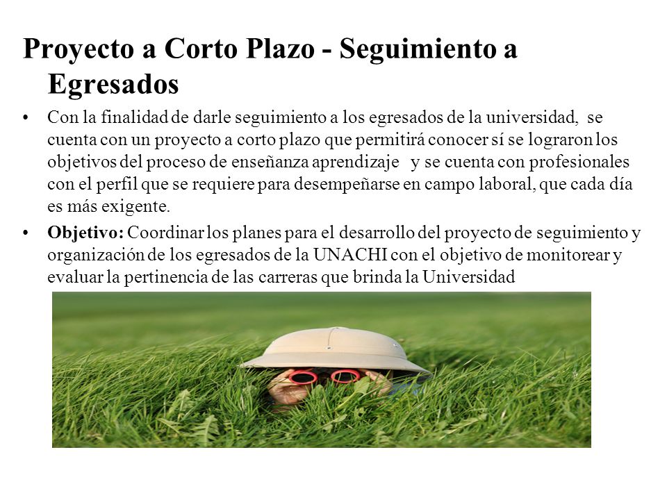 Proyecto a Corto Plazo - Seguimiento a Egresados