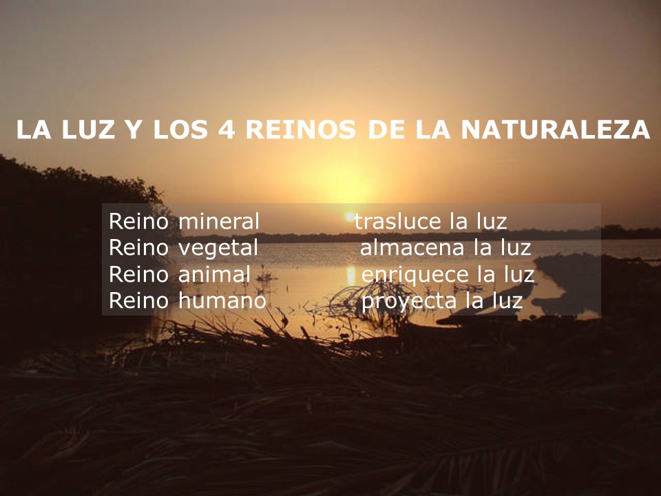 LA LUZ Y LOS 4 REINOS DE LA NATURALEZA