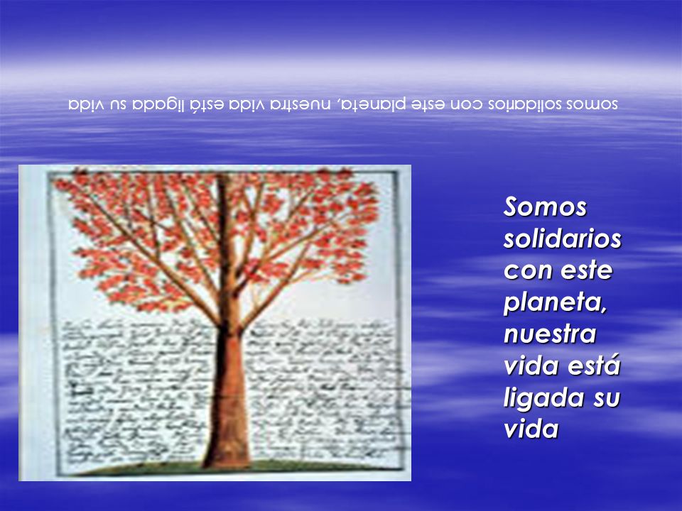 Somos solidarios con este planeta, nuestra vida está ligada su vida