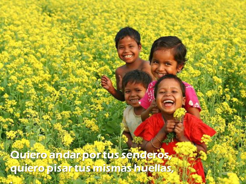 Quiero andar por tus senderos, quiero pisar tus mismas huellas,