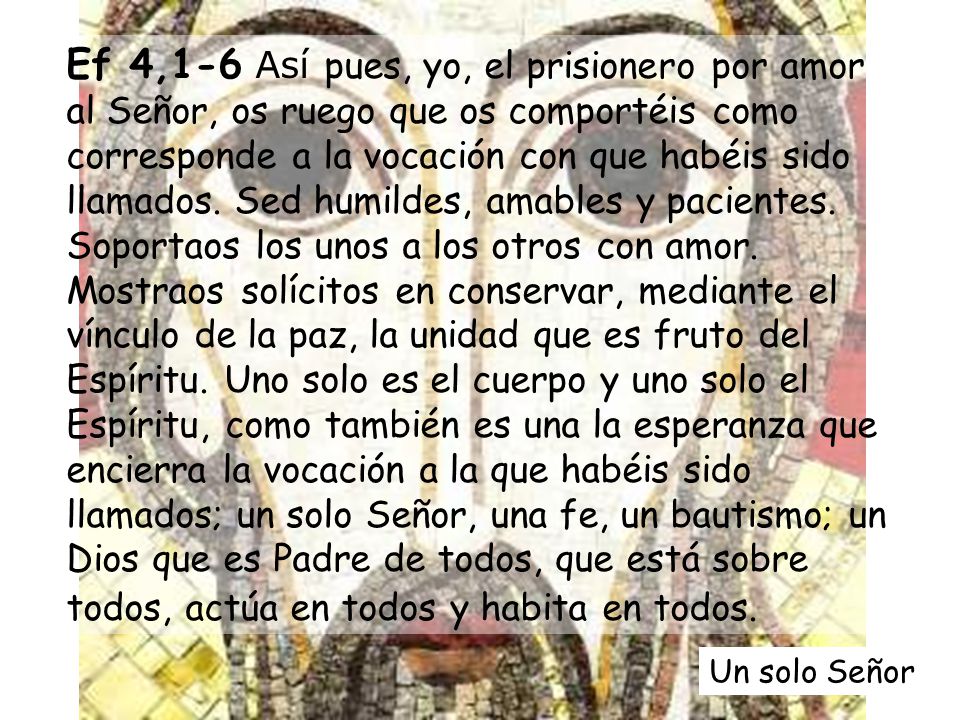 Ef 4,1-6 Así pues, yo, el prisionero por amor al Señor, os ruego que os comportéis como corresponde a la vocación con que habéis sido llamados. Sed humildes, amables y pacientes. Soportaos los unos a los otros con amor. Mostraos solícitos en conservar, mediante el vínculo de la paz, la unidad que es fruto del Espíritu. Uno solo es el cuerpo y uno solo el Espíritu, como también es una la esperanza que encierra la vocación a la que habéis sido llamados; un solo Señor, una fe, un bautismo; un Dios que es Padre de todos, que está sobre todos, actúa en todos y habita en todos.