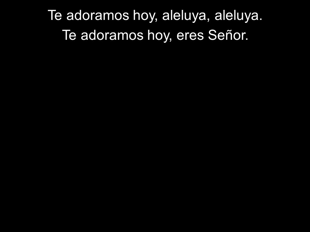 Te adoramos hoy, aleluya, aleluya. Te adoramos hoy, eres Señor.