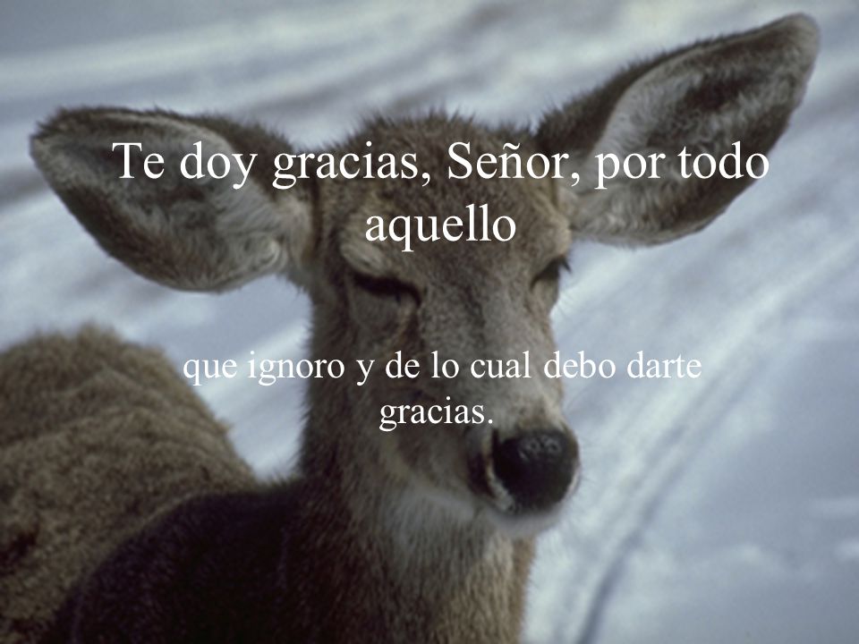 Te doy gracias, Señor, por todo aquello