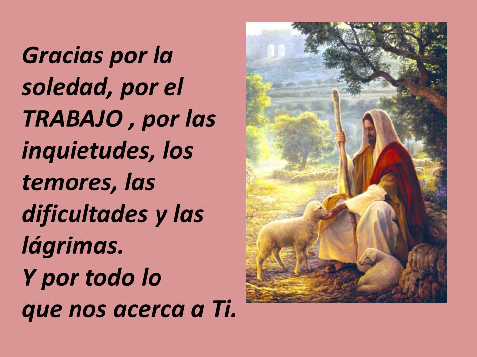 Gracias por la soledad, por el TRABAJO , por las inquietudes, los temores, las dificultades y las lágrimas.