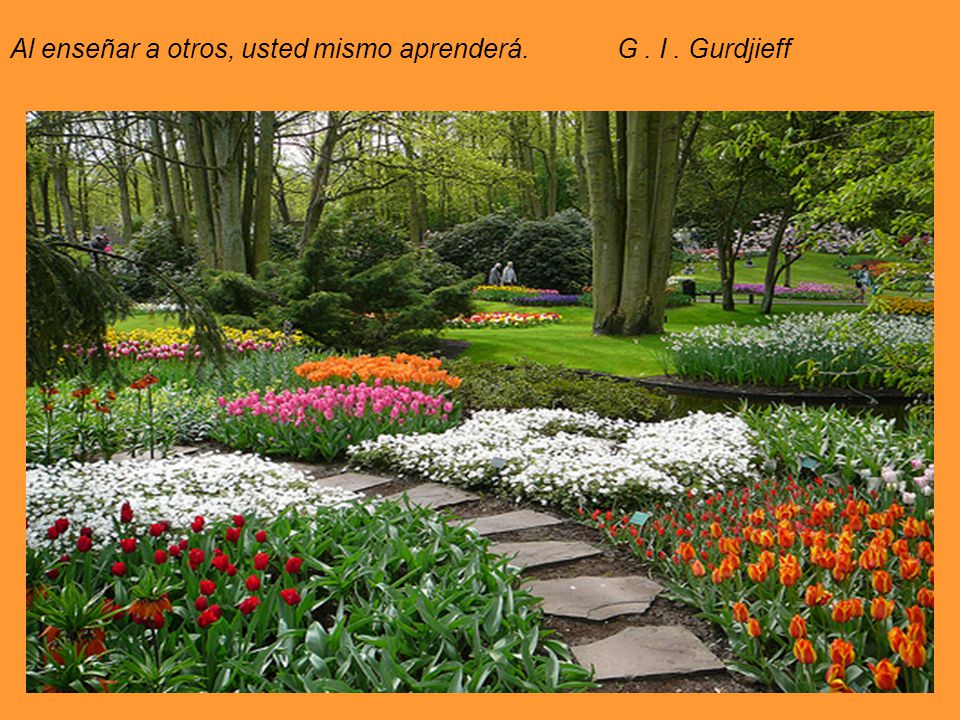 Al enseñar a otros, usted mismo aprenderá. G . I . Gurdjieff