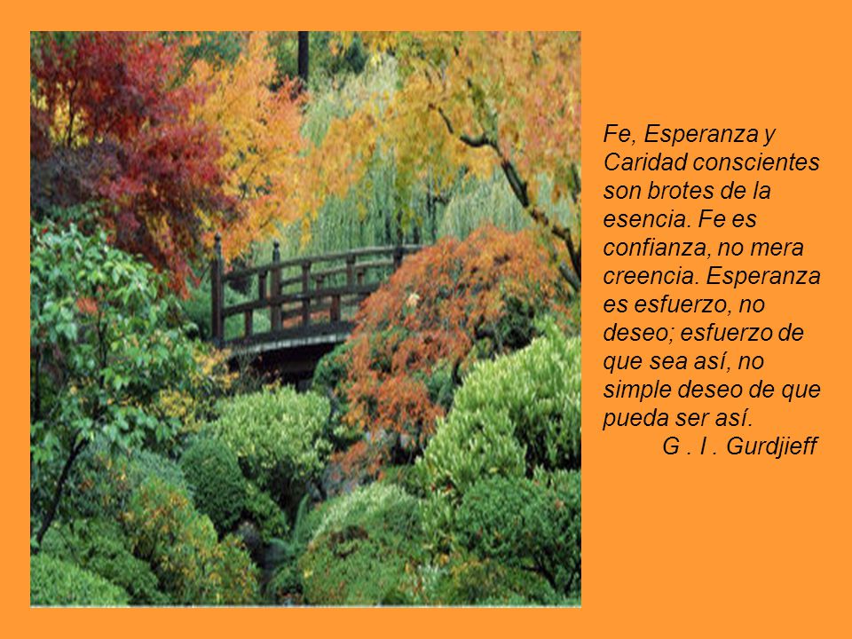 Fe, Esperanza y Caridad conscientes son brotes de la esencia