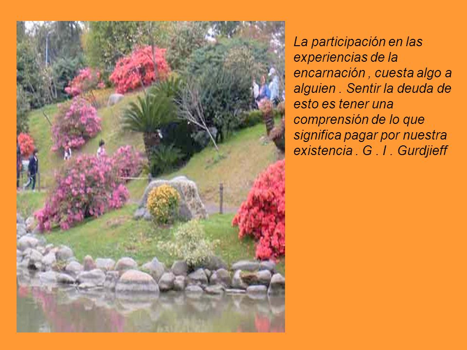 La participación en las experiencias de la encarnación , cuesta algo a alguien .