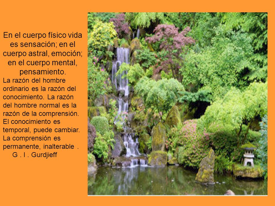 En el cuerpo físico vida es sensación; en el cuerpo astral, emoción; en el cuerpo mental, pensamiento.