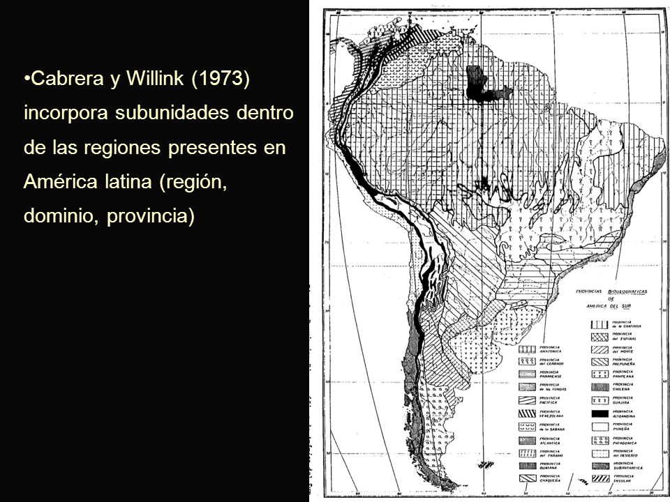 Cabrera y Willink (1973) incorpora subunidades dentro de las regiones presentes en América latina (región, dominio, provincia)