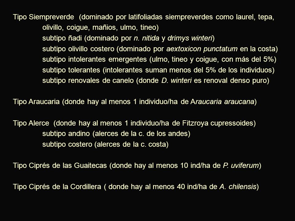 Tipo Siempreverde (dominado por latifoliadas siempreverdes como laurel, tepa, olivillo, coigue, mañios, ulmo, tineo)