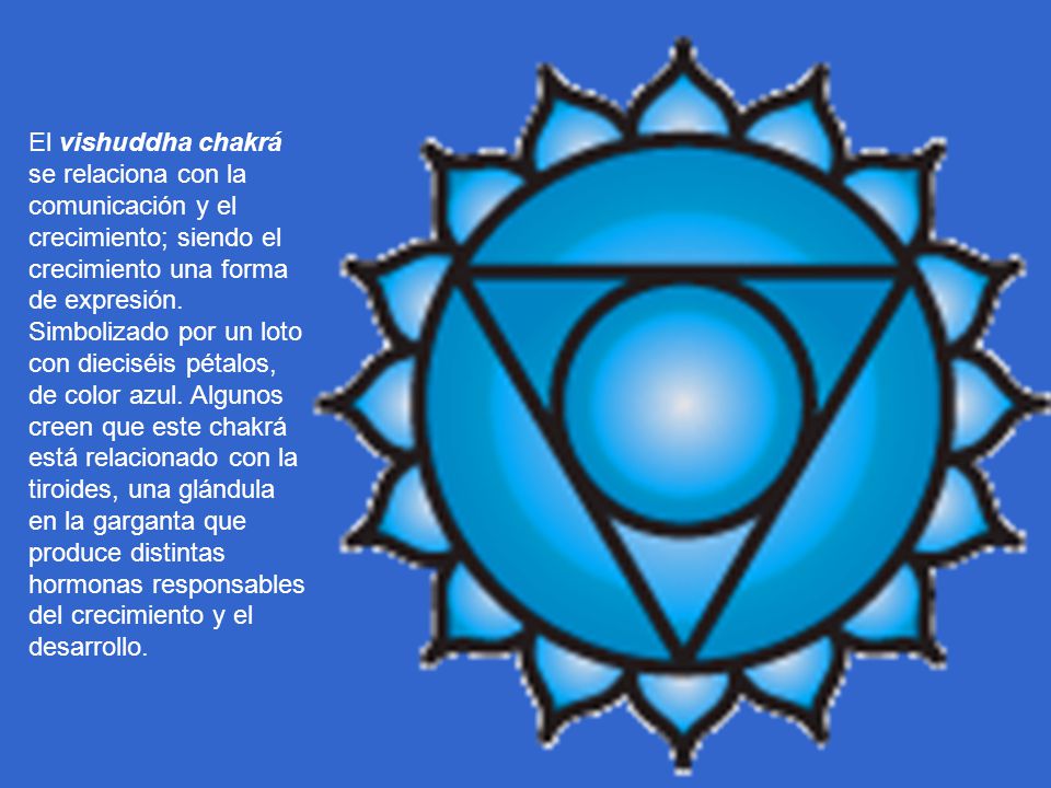 El vishuddha chakrá se relaciona con la comunicación y el crecimiento; siendo el crecimiento una forma de expresión.