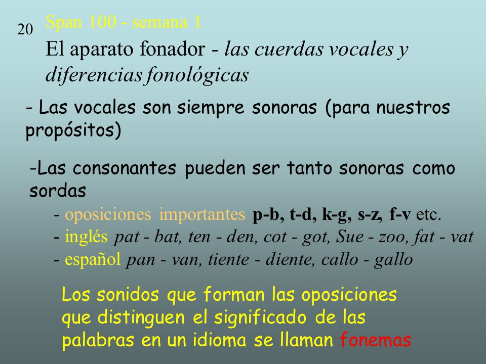 - Las vocales son siempre sonoras (para nuestros propósitos)