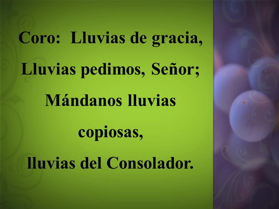 Coro: Lluvias de gracia, Lluvias pedimos, Señor;