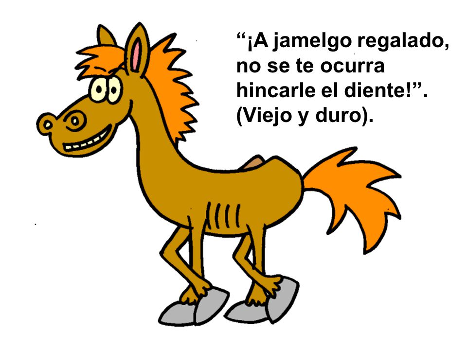 ¡A jamelgo regalado, no se te ocurra hincarle el diente.