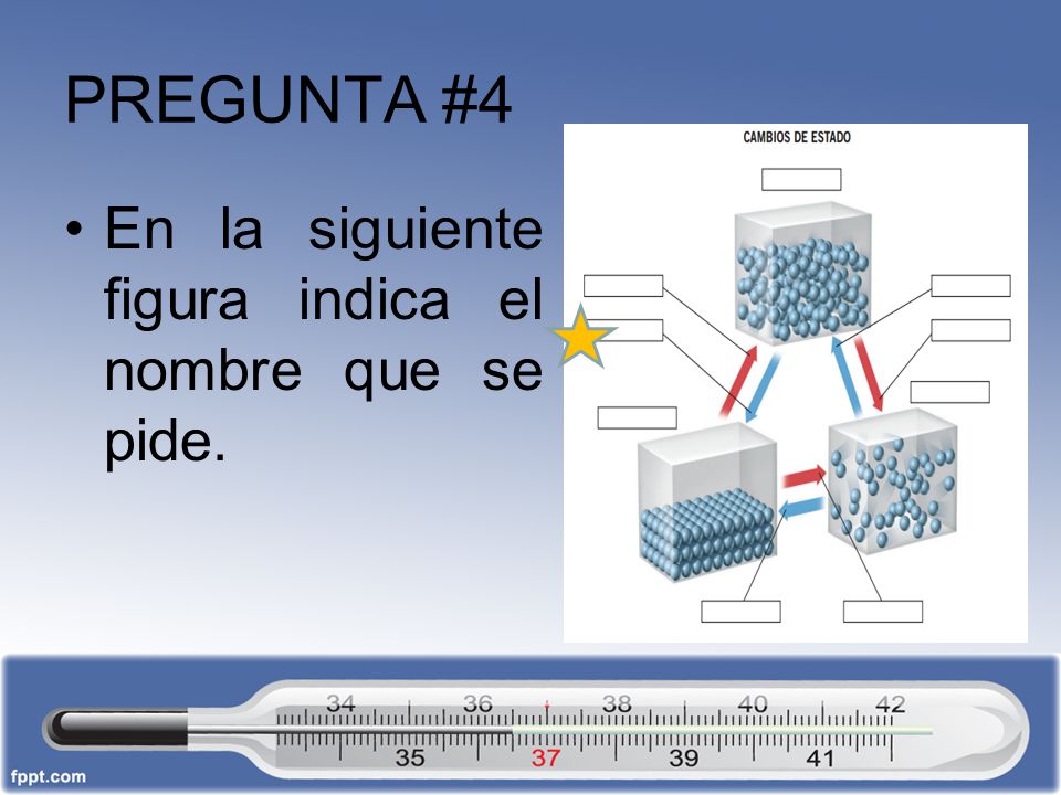 PREGUNTA #4 En la siguiente figura indica el nombre que se pide.