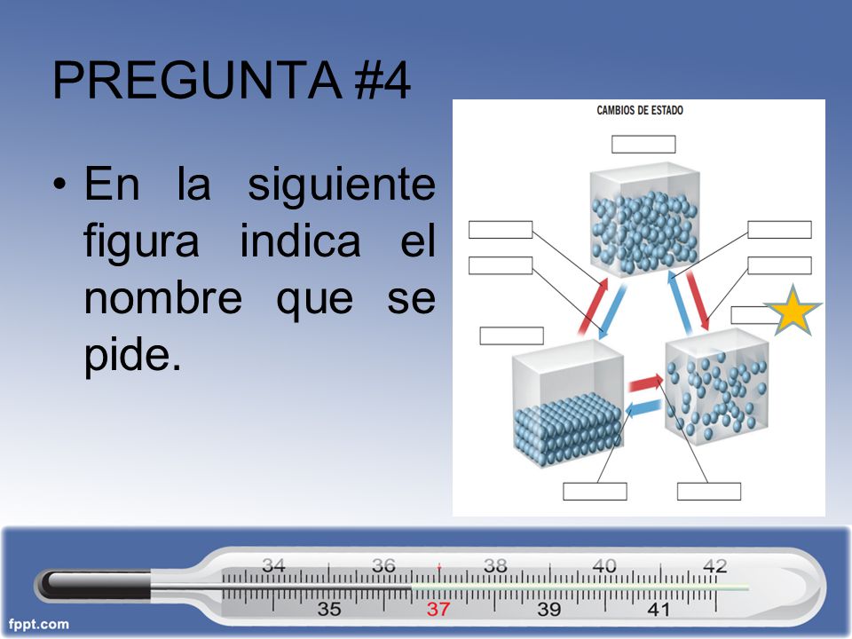 PREGUNTA #4 En la siguiente figura indica el nombre que se pide.
