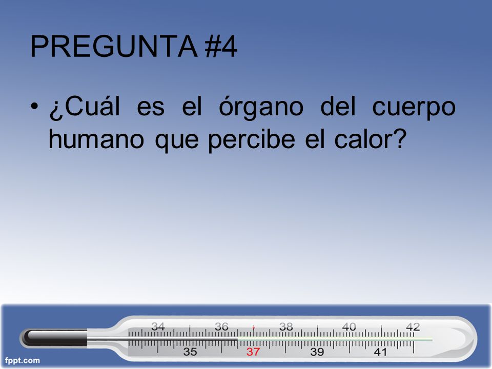 PREGUNTA #4 ¿Cuál es el órgano del cuerpo humano que percibe el calor