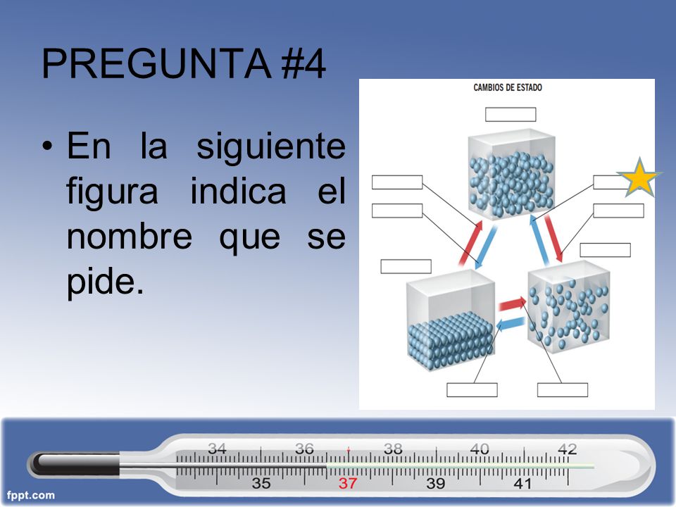 PREGUNTA #4 En la siguiente figura indica el nombre que se pide.