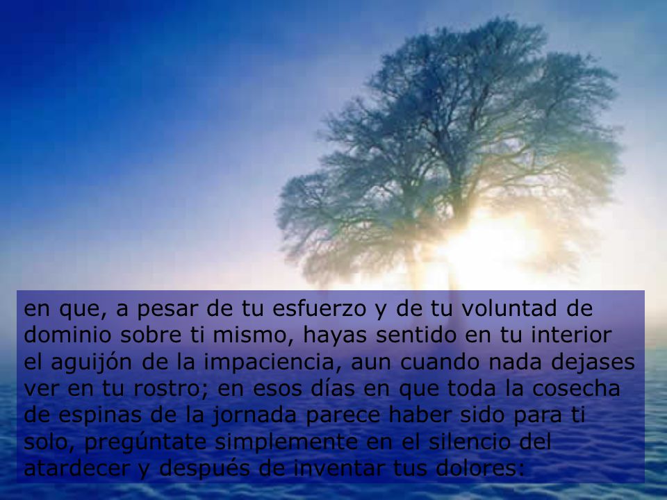 en que, a pesar de tu esfuerzo y de tu voluntad de dominio sobre ti mismo, hayas sentido en tu interior el aguijón de la impaciencia, aun cuando nada dejases ver en tu rostro; en esos días en que toda la cosecha de espinas de la jornada parece haber sido para ti solo, pregúntate simplemente en el silencio del atardecer y después de inventar tus dolores: