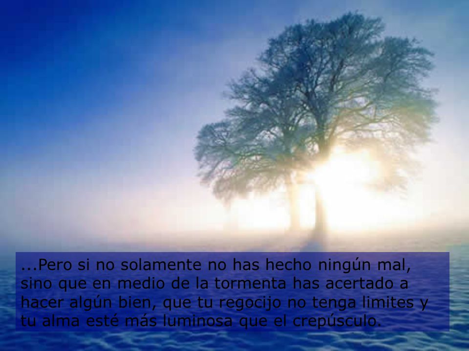 ...Pero si no solamente no has hecho ningún mal, sino que en medio de la tormenta has acertado a hacer algún bien, que tu regocijo no tenga limites y tu alma esté más luminosa que el crepúsculo.
