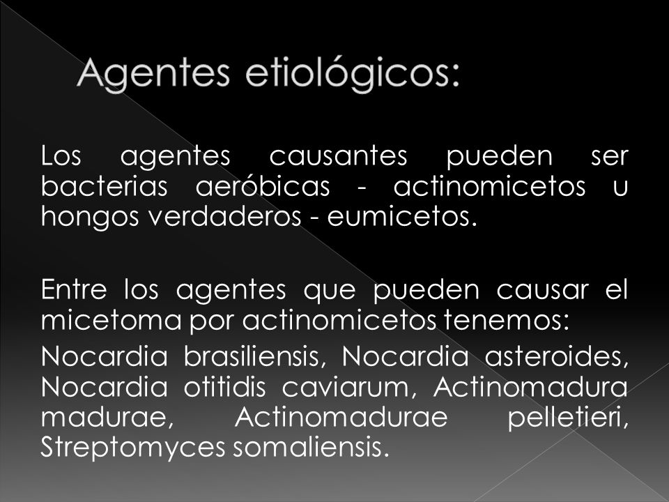 Agentes etiológicos: Los agentes causantes pueden ser bacterias aeróbicas - actinomicetos u hongos verdaderos - eumicetos.