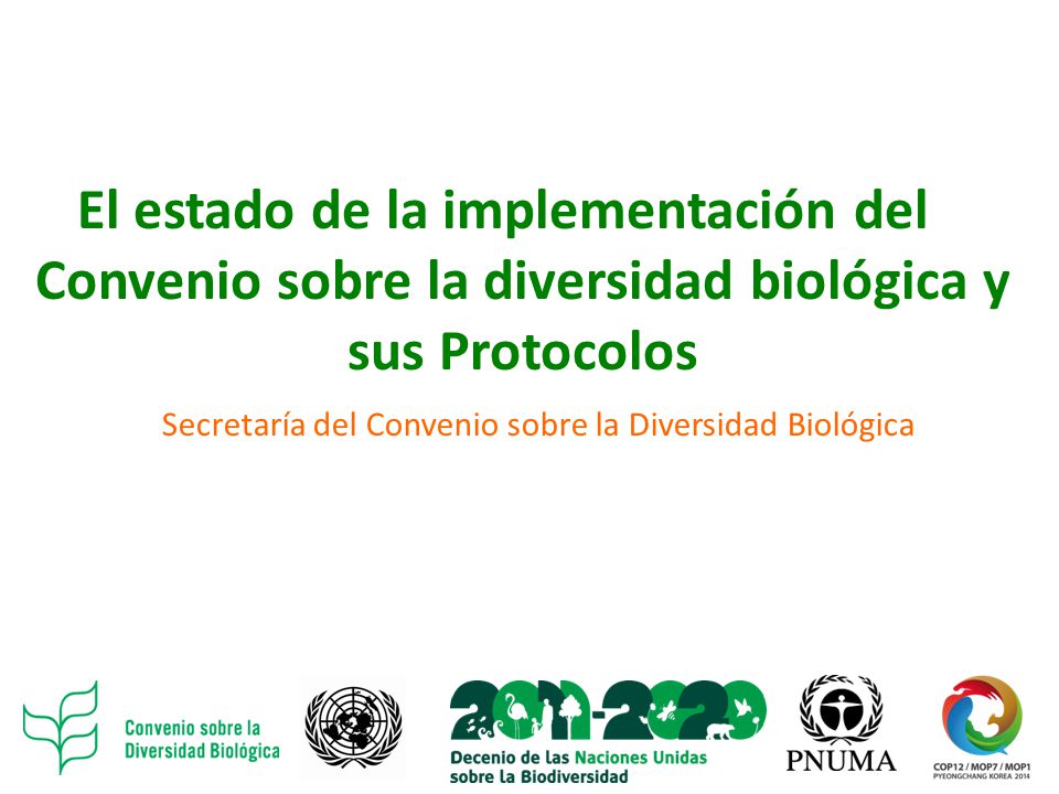 El estado de la implementación del Convenio sobre la diversidad biológica y sus Protocolos