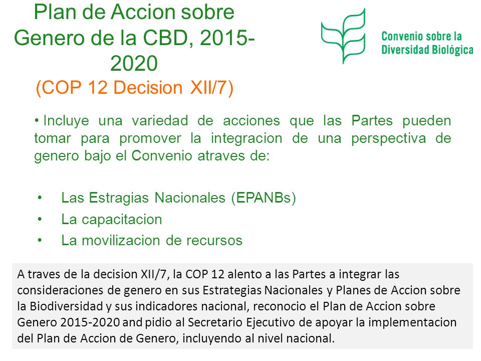 Plan de Accion sobre Genero de la CBD, (COP 12 Decision XII/7)