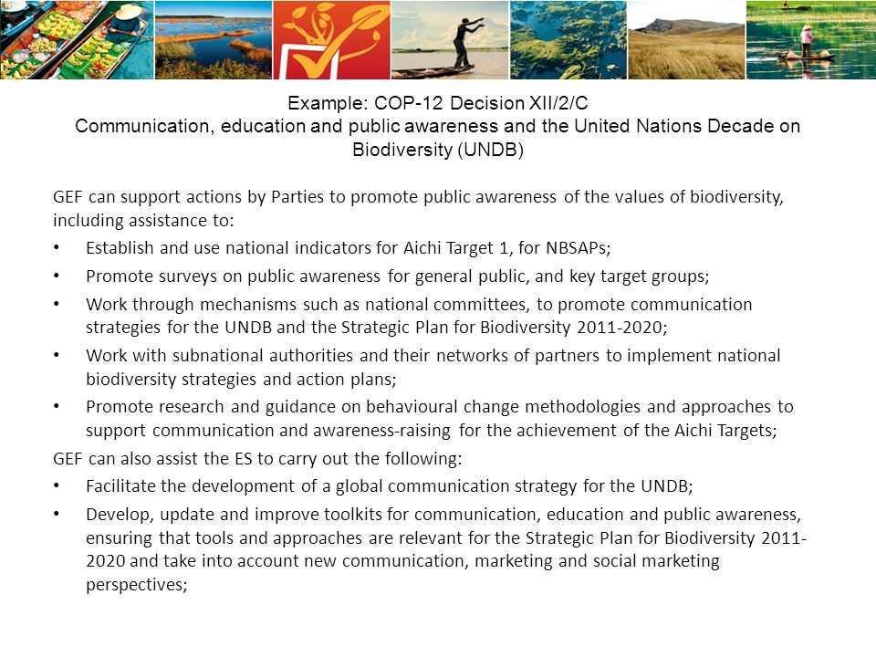 Example: COP-12 Decision XII/2/C Communication, education and public awareness and the United Nations Decade on Biodiversity (UNDB)