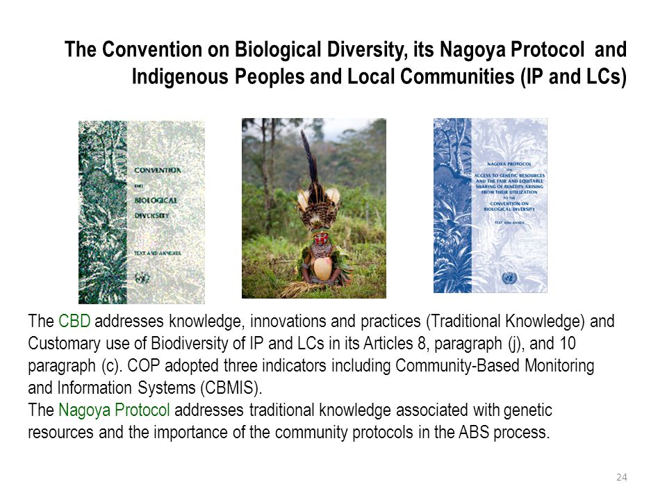 The Convention on Biological Diversity, its Nagoya Protocol and Indigenous Peoples and Local Communities (IP and LCs)