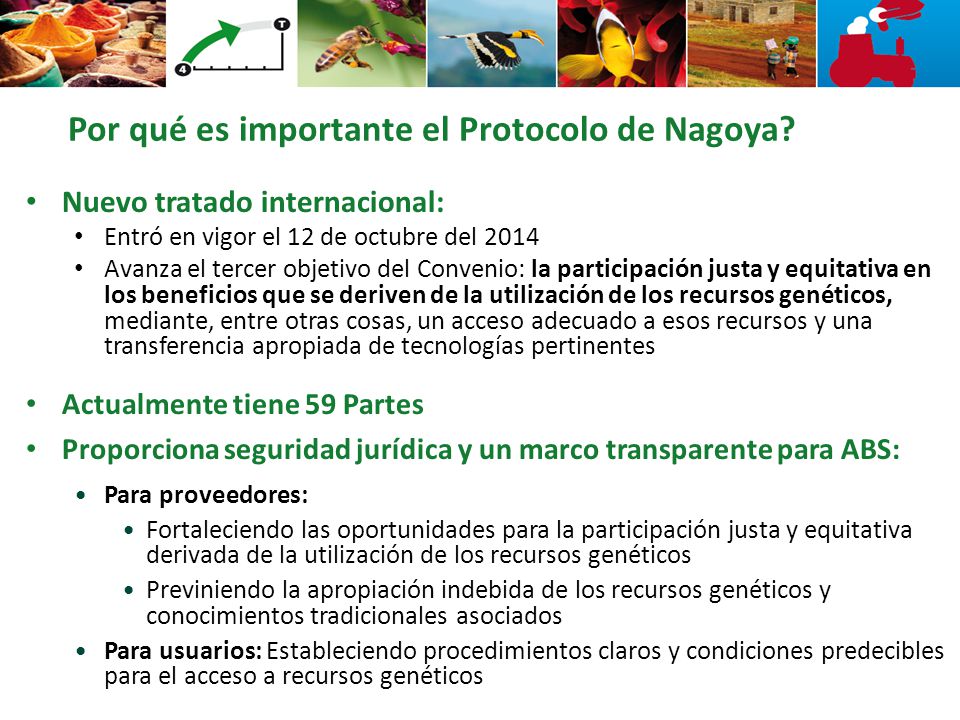 Por qué es importante el Protocolo de Nagoya